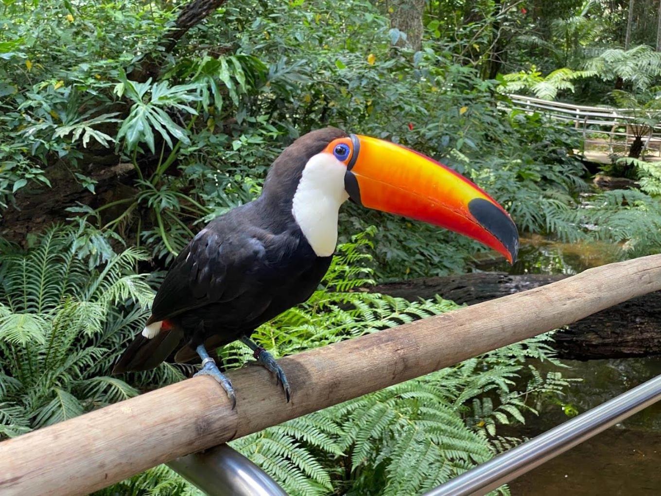 Em Otima Localizacao A 2 Km Do Centro 403 Foz do Iguaçu
